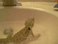 Zigbot takes a bath