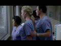Grey's Anatomy - Swans