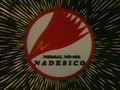 Nadesico 08 Spanish