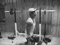 How To Be Ripped Like Brad Pitt From Fight Club (week 11)