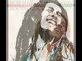 IODAcast VIDEO 004: Bob Marley: "Roots, Rock, Remixed"