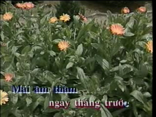 Chuyen Tinh Han Mac Tu - Trong Huu Le Thuy.avi