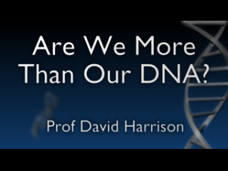 Are We More Than Our DNA?