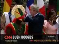 Bush Boogies