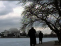The West Wing: For Your Consideration Video