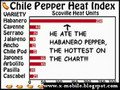 World Hottest Pepper Record Breaker