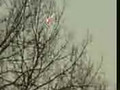 UFO - Fireball Behind Tree Bagarmossen Sweden