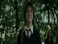Harry Potter: HarryPOwned - CRACK & SLASH
