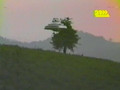 UFO - Billy Meier Beamship Video Clip - April 3, 1981 - bachtel, Switzerland 