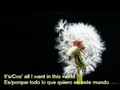 Coldplay - A Spell A Rebel Yell (Lyrics English - Spanish)