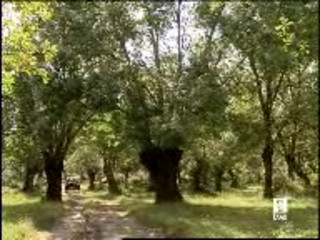 La Auster EC-AIS en La 1 de TVE