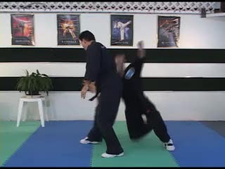 Kenpo Set Karate Double Hammers
