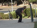 james wagner video part