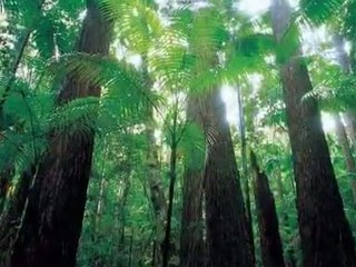 Fraser Island - Home seeks new owner