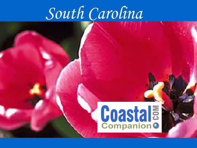 South Carolina Events and Festivals Weekly   1409