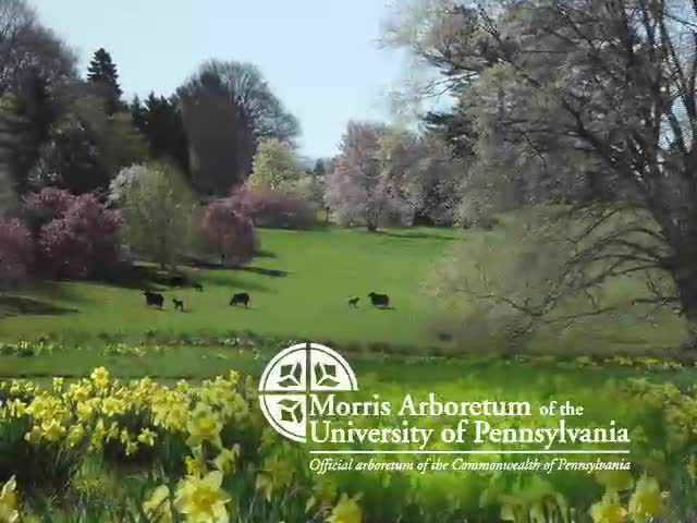 Morris Arboretum of the University of Pennsylvania