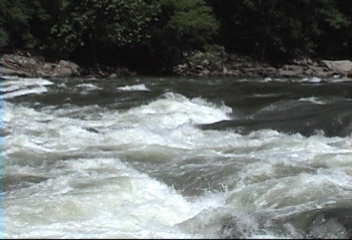 New River Gorge Whitewater Millers Folly Rapid