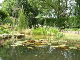 waterfeatures ponds waterfalls watergardens