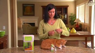 How  to Give Your Diabetic Cat an Insulin Injection