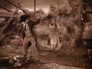 Der Zauberer von Oz (USA 1939)