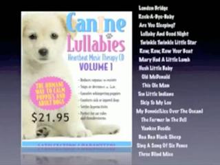 Learn About Canine Lullabies and Calming A Barking Dog