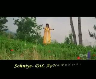 dil apna punjabi full movie dailymotion
