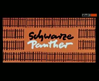 Schwarzer panther full movie with english subtitles hot sale