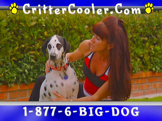Critter Cooler-For the Dogs