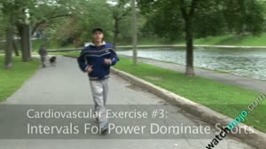 Cardio Training Tips - Power Dominant