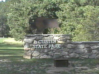 Custer State Park- South Dakota