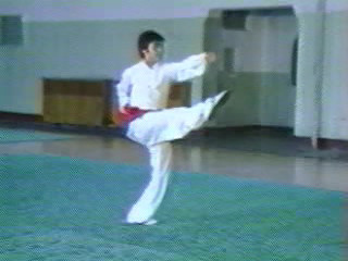 wushu3