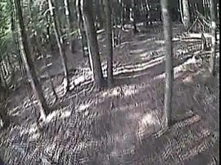 Trail Video With Bullet Cam