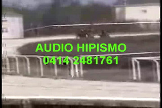 audio hipismo suscripcion