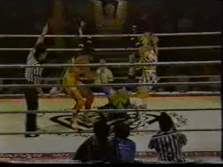 AJW 94 - Toyota & Inoue vs Hasegawa & El Felina 