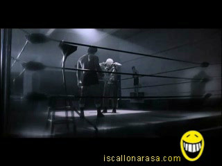 il sogno di rocky